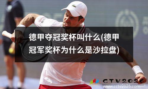 德甲夺冠奖杯叫什么(德甲冠军奖杯为什么是沙拉盘)