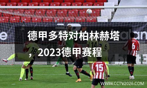 德甲多特对柏林赫塔，2023德甲赛程