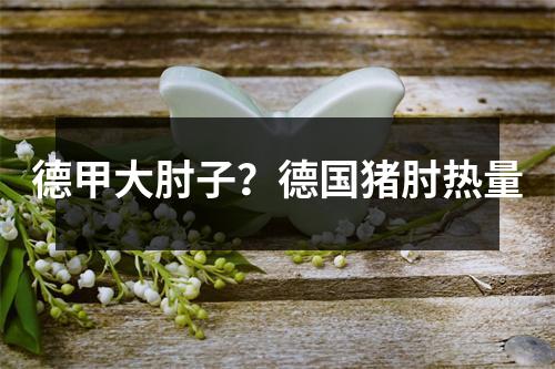 德甲大肘子？德国猪肘热量