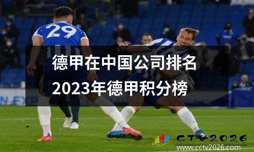 德甲在中国公司排名 2023年德甲积分榜