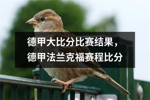 德甲大比分比赛结果，德甲法兰克福赛程比分