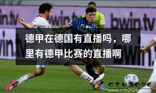 德甲在德国有直播吗，哪里有德甲比赛的直播啊
