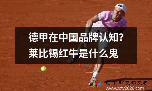德甲在中国品牌认知？莱比锡红牛是什么鬼