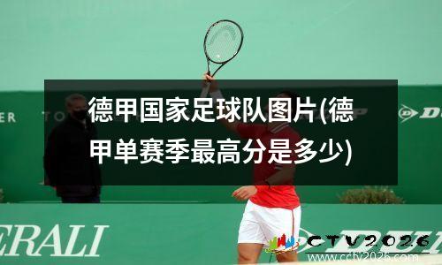 德甲国家足球队图片(德甲单赛季最高分是多少)