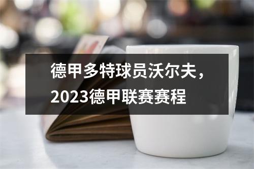 德甲多特球员沃尔夫，2023德甲联赛赛程