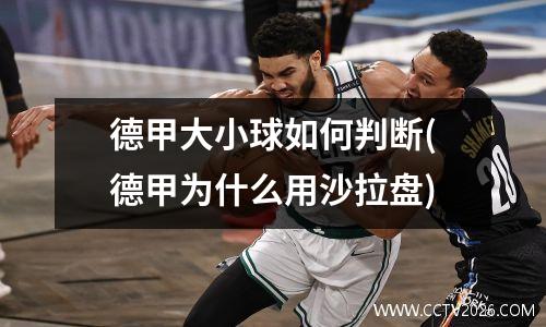 德甲大小球如何判断(德甲为什么用沙拉盘)
