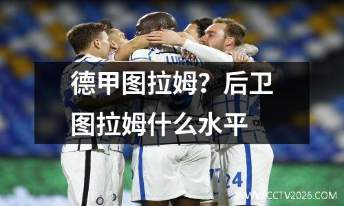 德甲图拉姆？后卫图拉姆什么水平