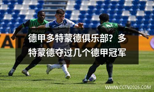德甲多特蒙德俱乐部？多特蒙德夺过几个德甲冠军