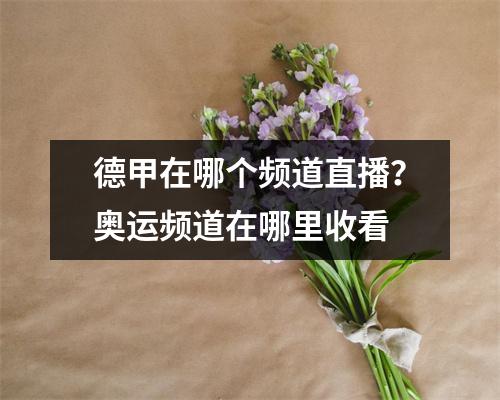 德甲在哪个频道直播？奥运频道在哪里收看