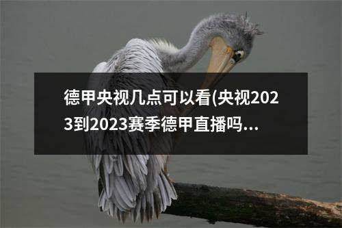 德甲央视几点可以看(央视2023到2023赛季德甲直播吗)