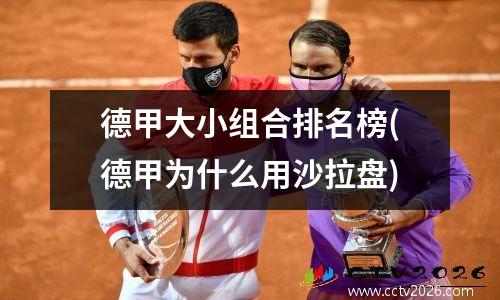 德甲大小组合排名榜(德甲为什么用沙拉盘)