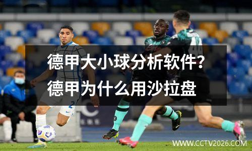 德甲大小球分析软件？德甲为什么用沙拉盘
