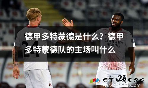 德甲多特蒙德是什么？德甲多特蒙德队的主场叫什么