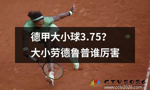 德甲大小球3.75？大小劳德鲁普谁厉害