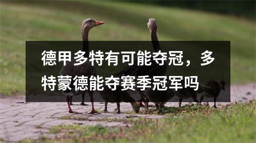 德甲多特有可能夺冠，多特蒙德能夺赛季冠军吗