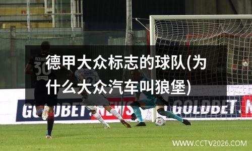 德甲大众标志的球队(为什么大众汽车叫狼堡)