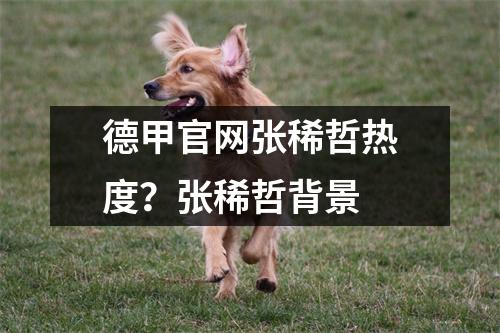 德甲官网张稀哲热度？张稀哲背景