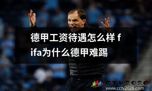 德甲工资待遇怎么样 fifa为什么德甲难踢