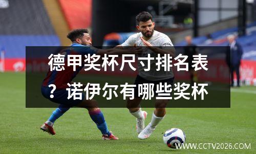 德甲奖杯尺寸排名表？诺伊尔有哪些奖杯