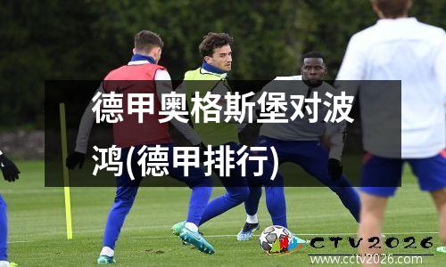 德甲奥格斯堡对波鸿(德甲排行)