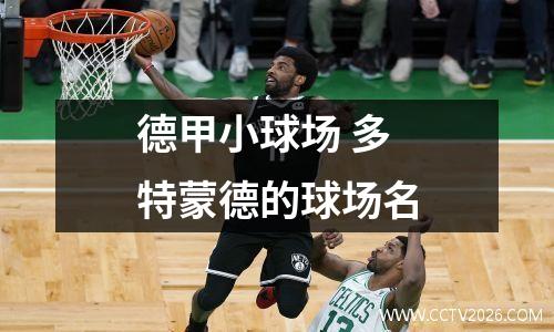 德甲小球场 多特蒙德的球场名
