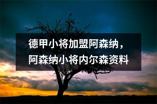 德甲小将加盟阿森纳，阿森纳小将内尔森资料