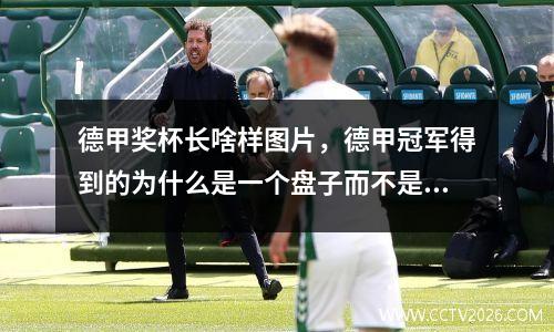 德甲奖杯长啥样图片，德甲冠军得到的为什么是一个盘子而不是奖杯
