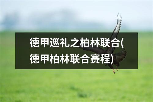 德甲巡礼之柏林联合(德甲柏林联合赛程)