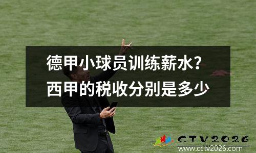 德甲小球员训练薪水？西甲的税收分别是多少