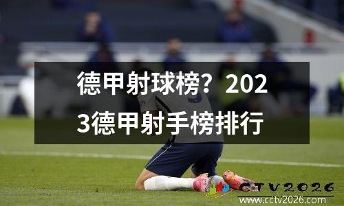 德甲射球榜？2023德甲射手榜排行