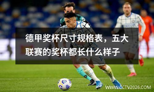 德甲奖杯尺寸规格表，五大联赛的奖杯都长什么样子