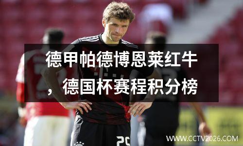 德甲帕德博恩莱红牛，德国杯赛程积分榜