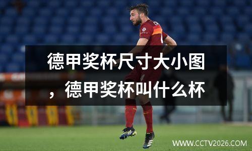 德甲奖杯尺寸大小图，德甲奖杯叫什么杯