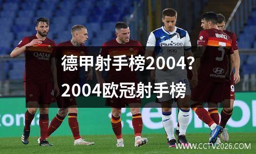 德甲射手榜2004？2004欧冠射手榜