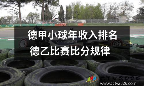 德甲小球年收入排名 德乙比赛比分规律
