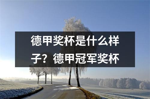 德甲奖杯是什么样子？德甲冠军奖杯