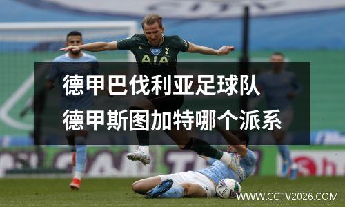 德甲巴伐利亚足球队 德甲斯图加特哪个派系
