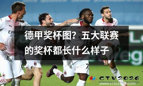 德甲奖杯图？五大联赛的奖杯都长什么样子