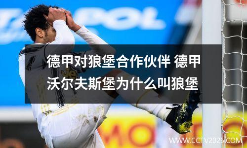 德甲对狼堡合作伙伴 德甲沃尔夫斯堡为什么叫狼堡