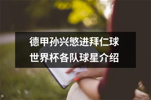 德甲孙兴慜进拜仁球 世界杯各队球星介绍