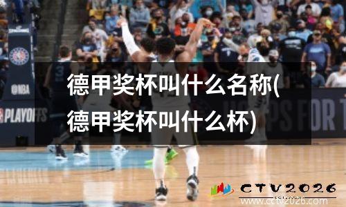 德甲奖杯叫什么名称(德甲奖杯叫什么杯)