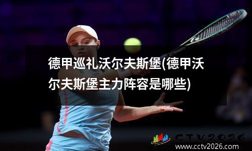 德甲巡礼沃尔夫斯堡(德甲沃尔夫斯堡主力阵容是哪些)