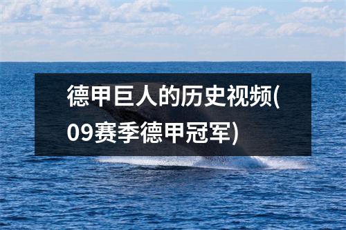 德甲巨人的历史视频(09赛季德甲冠军)