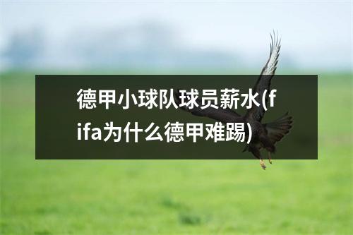 德甲小球队球员薪水(fifa为什么德甲难踢)