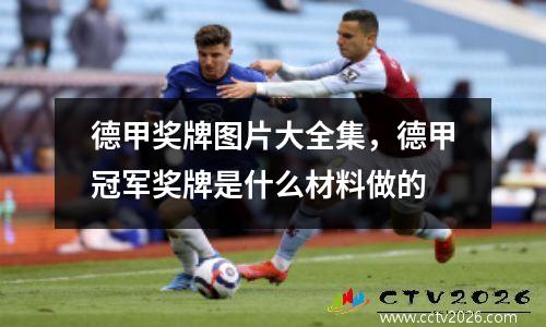德甲奖牌图片大全集，德甲冠军奖牌是什么材料做的