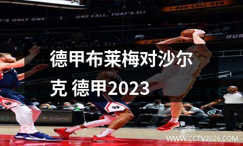 德甲布莱梅对沙尔克 德甲2023