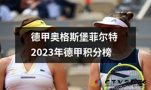 德甲奥格斯堡菲尔特 2023年德甲积分榜
