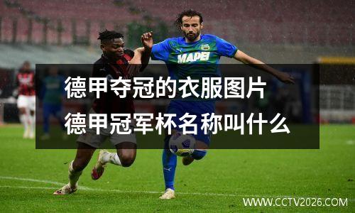 德甲夺冠的衣服图片 德甲冠军杯名称叫什么