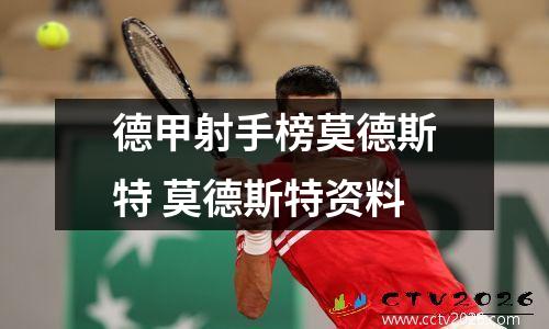德甲射手榜莫德斯特 莫德斯特资料