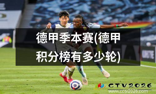德甲季本赛(德甲积分榜有多少轮)
